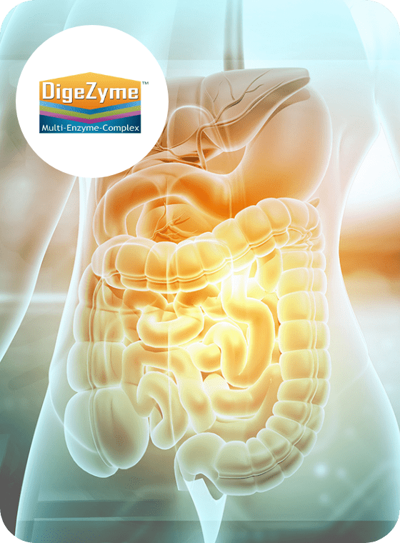 Dentolan digezyme
