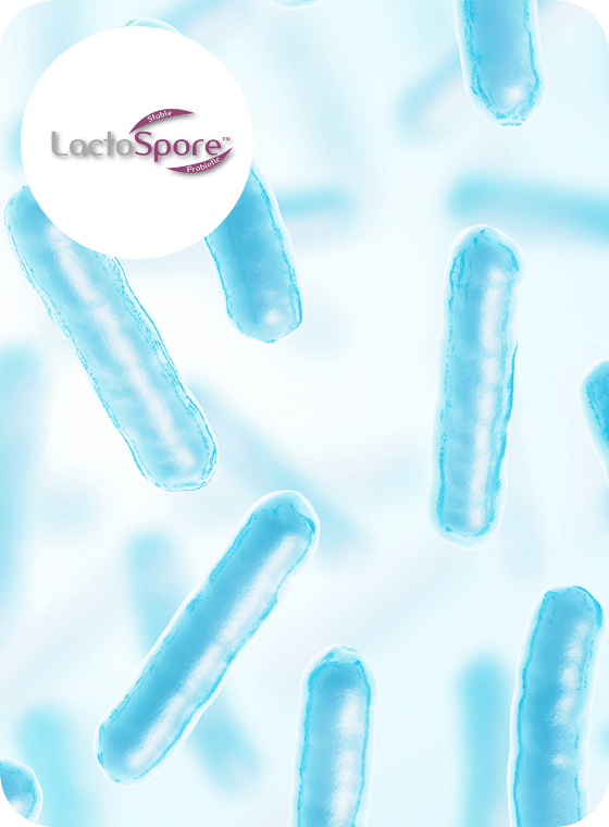Dentolan lactospore